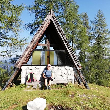Ferienwohnung Schmaranzer Gosau Zewnętrze zdjęcie