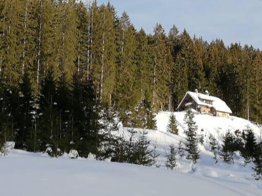 Ferienwohnung Schmaranzer Gosau Zewnętrze zdjęcie