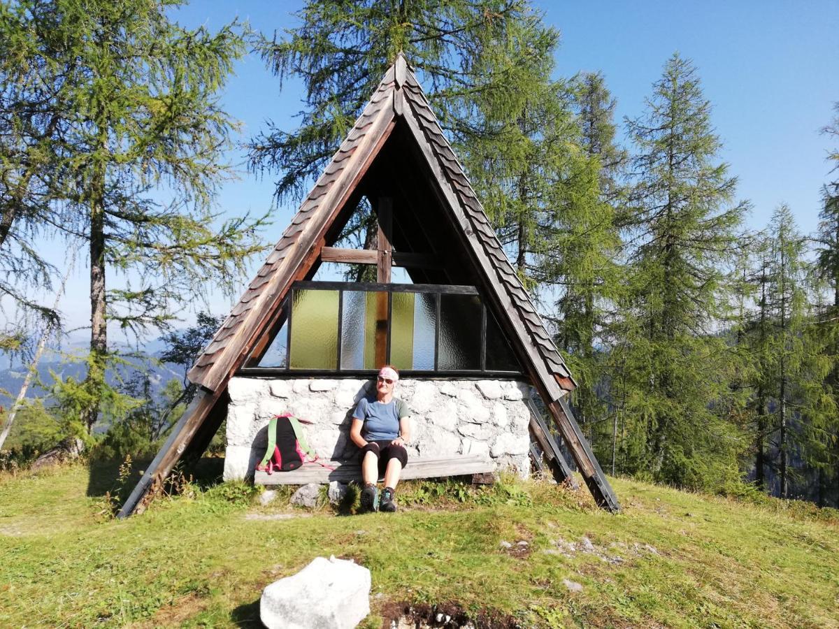 Ferienwohnung Schmaranzer Gosau Zewnętrze zdjęcie