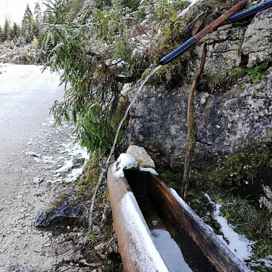 Ferienwohnung Schmaranzer Gosau Zewnętrze zdjęcie